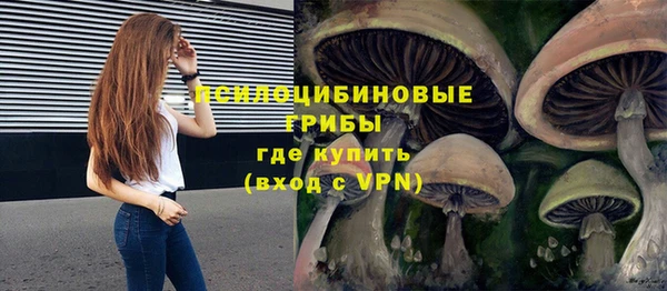бошки Алексеевка