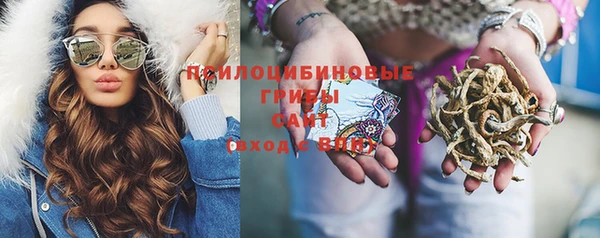 бошки Алексеевка